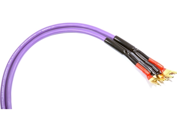 Melodika Fork - Gabelkabel 4M Lila