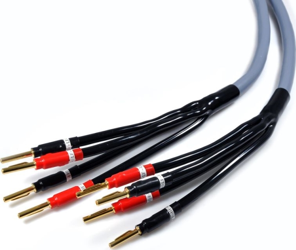 Kabel Melodika Banan X4 - Banan X4 2.5M Fioletowy