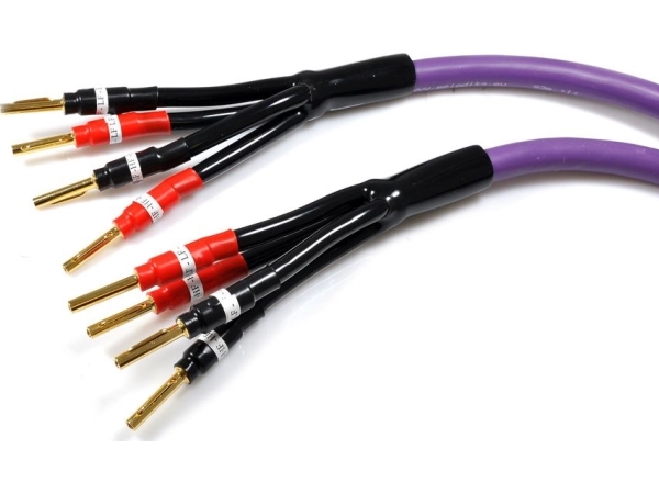 Kabel Melodika Banan X4 - Banan X4 3.5M Fioletowy