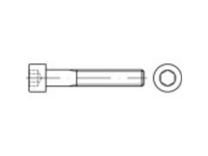 TOOLCRAFT TO-5428419 Cylinderskruer M12 35 mm Indvendig sekskant ISO 4762 Stål Galvaniseret 100 stk
