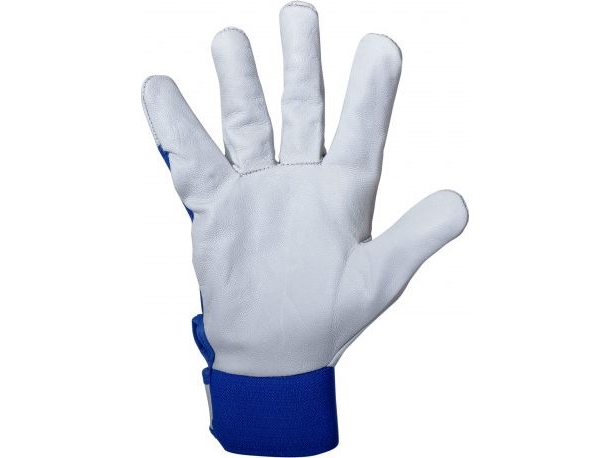 Profix-Handsker Af Gedeskind No. P270208p, Card, "8", Ce, Psb