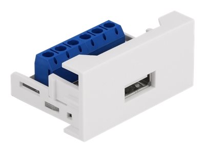 Delock - Easy 45 - Klik I-Modul - Usb - 1 Modul - Hvid, Ral 9003