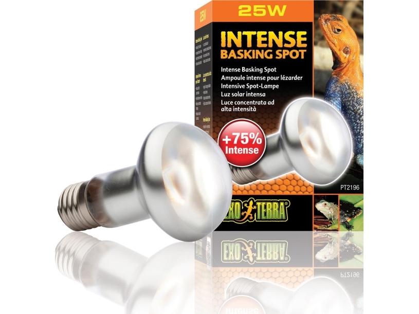 Exo Terra Żarówka Intense Basking Spot 25W (EX-1962)