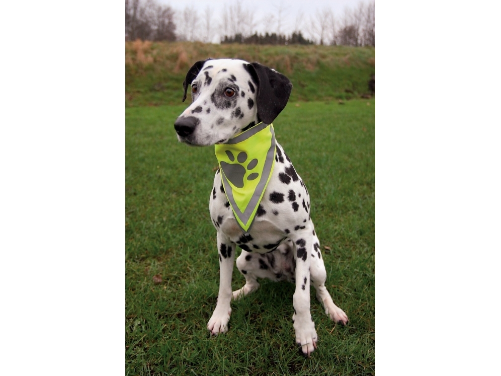 Alternativ bild 0 för Trixie Säkerhetsscarf Med Reflex (L/XL)