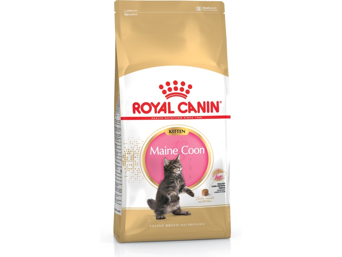 Royal Canin Maine Coon Kitten, Kitten, Maine Coon, Geflügel, Reis, 4 Kg, Antioxidantien Enthalten