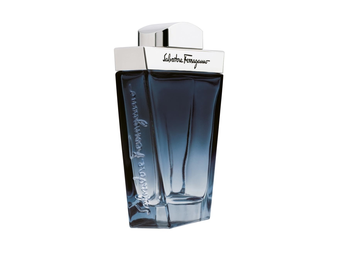Salvatore Ferragamo Subtil Pour Homme Edt 100Ml