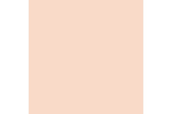 Vallejo : 69.005 - Mecha Color - Light Flesh (17 Ml)