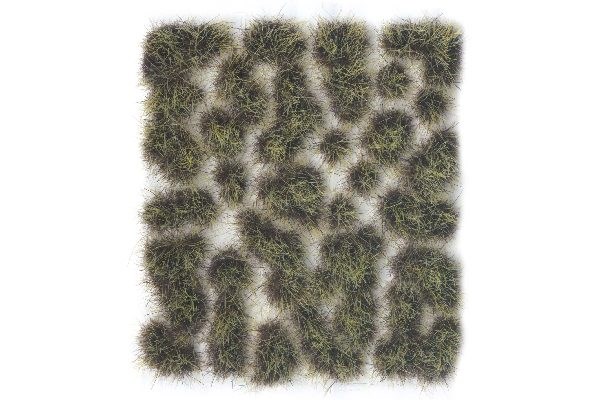 Wild Tuft - Burned 6 Mm.
