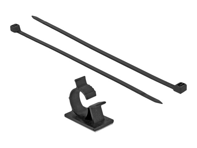 Delock - Kabelbinderset - Für Tischmontage, Wandmontage - 25 Cm - Schwarz