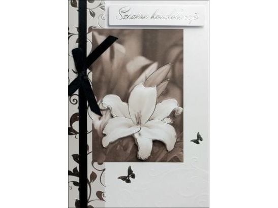 Mr Dragon B6 Carnet Kondolencer Lilje Hm-200-1286