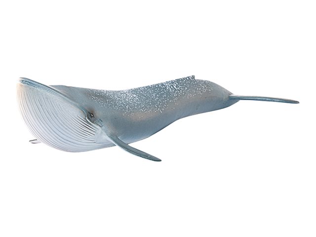 Schleich Blauwal