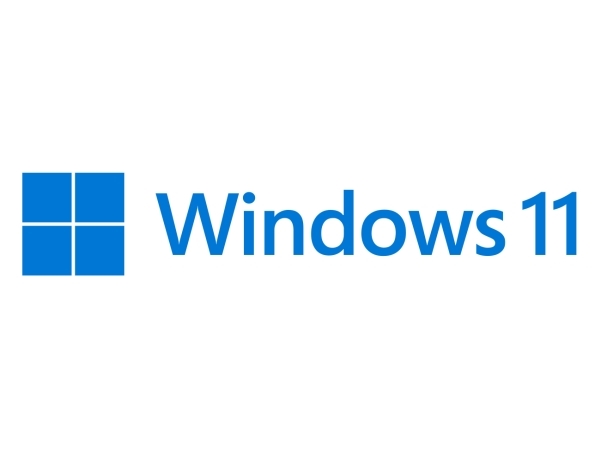 Microsoft Windows 11 Pro 64-bit italiensk (FQC-10538)
