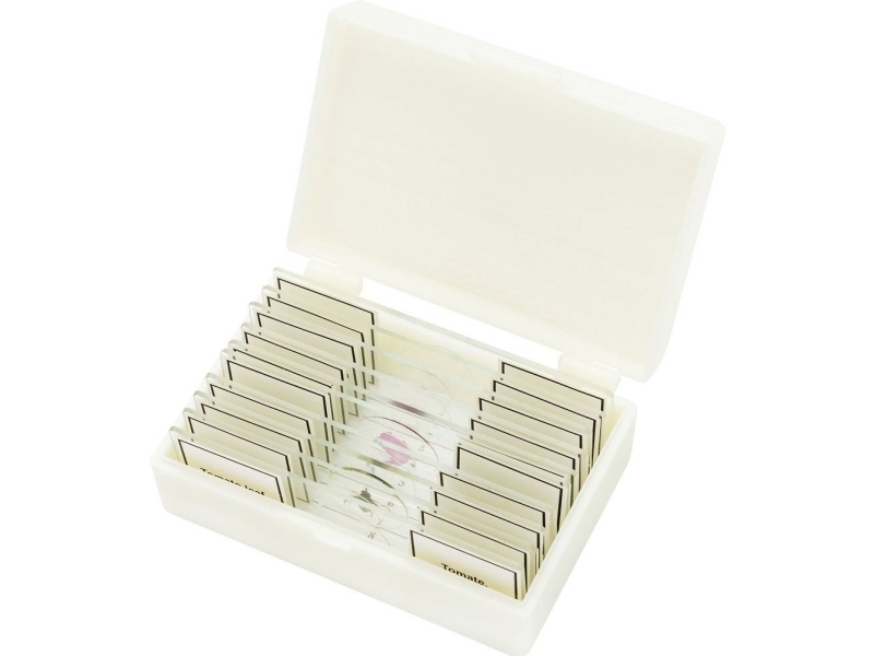 Bresser Fremstillede Slides, 10 Stk (Biologi)