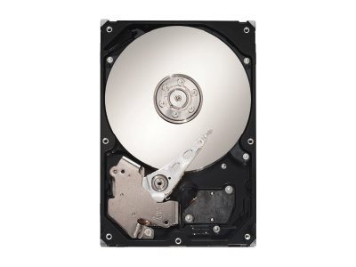 Seagate DB35.3 Series ST3250820SCE - Hårddisk - 250 GB - inbyggd - 3.5 - SATA 3Gb/s - 7200 rpm - buffert: 8 MB | Datorer & Surfplattor - Servertillbehör - Hårddiskar | GameStuff