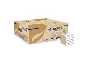 Toilettenpapier Econatural In 2Lag Genbrug 10X21 Cm, 40 Pk X 210 Stk/Krt