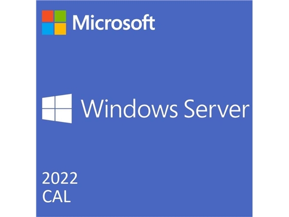 Microsoft Windows Server 2019/2022 Standard Or Datacenter - Licens - 10 Brugere-Cals