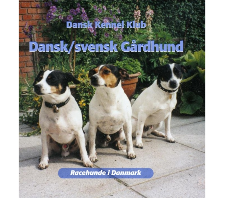 Bedrift Kro input Dansk/svensk gårdhund