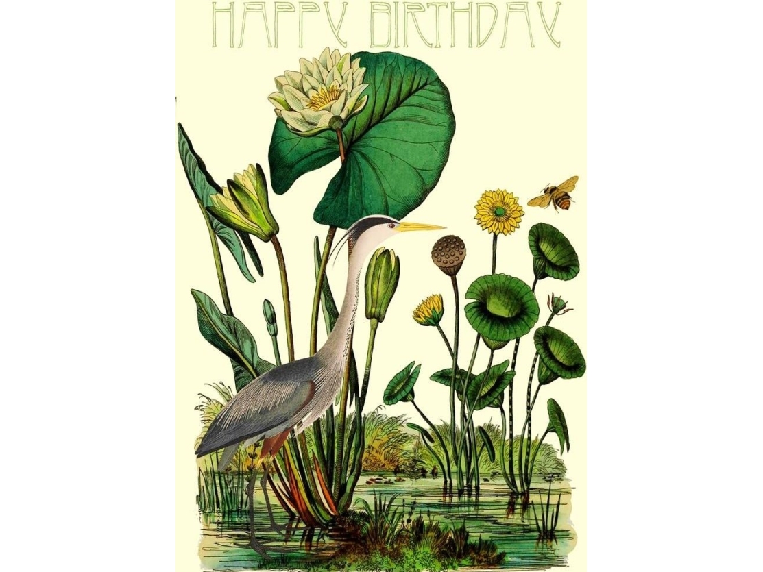 B6 Notesbog Med Kuvert Birthday Heron