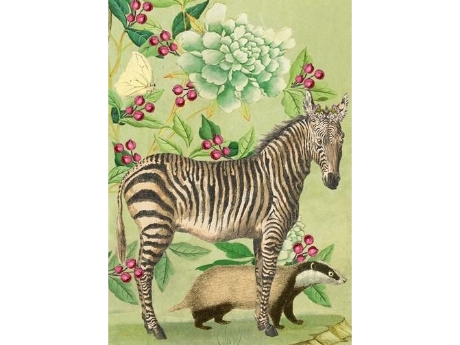 Madame Treacle Pass B6 With Envelope Zebra And Badger