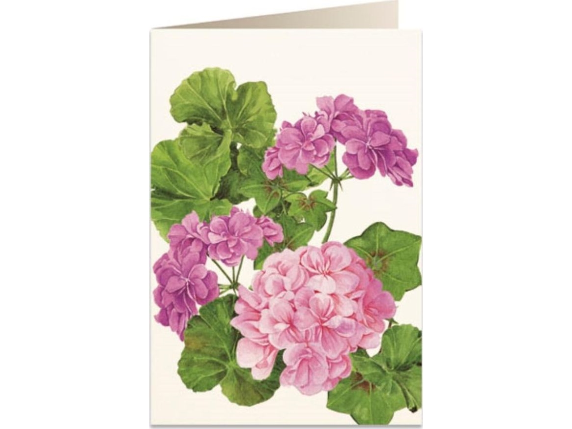 Tassotti Karnet B6 + Koperta 5576 Pelargonien