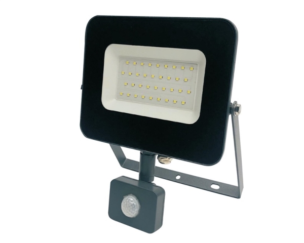 Standart udendørs LED-projektør, E024EIS, 30W, 2550lm, IP65, med jud dav