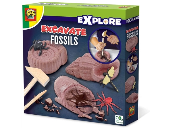 Ses Creative Udhug - Fossilien