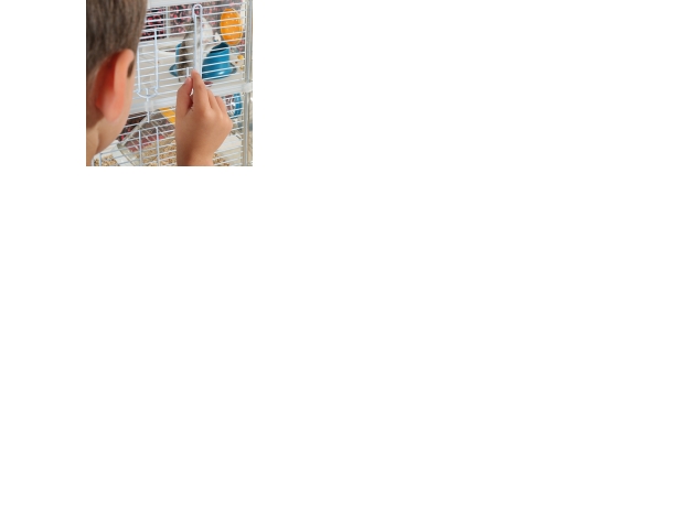 Zolux Cage RODY3 MINI white