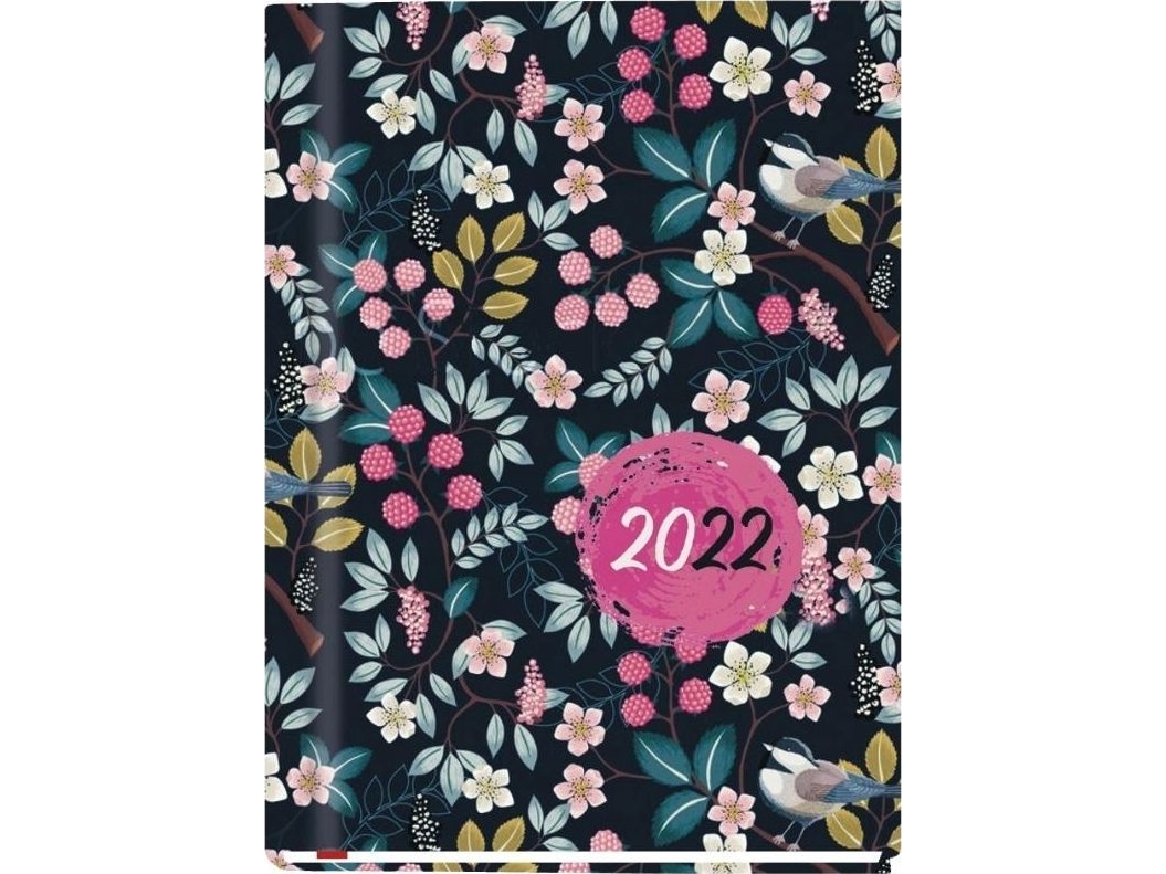 Michalczyk &amp  Prokop Aikataulu 2022 OLA T-212F-05