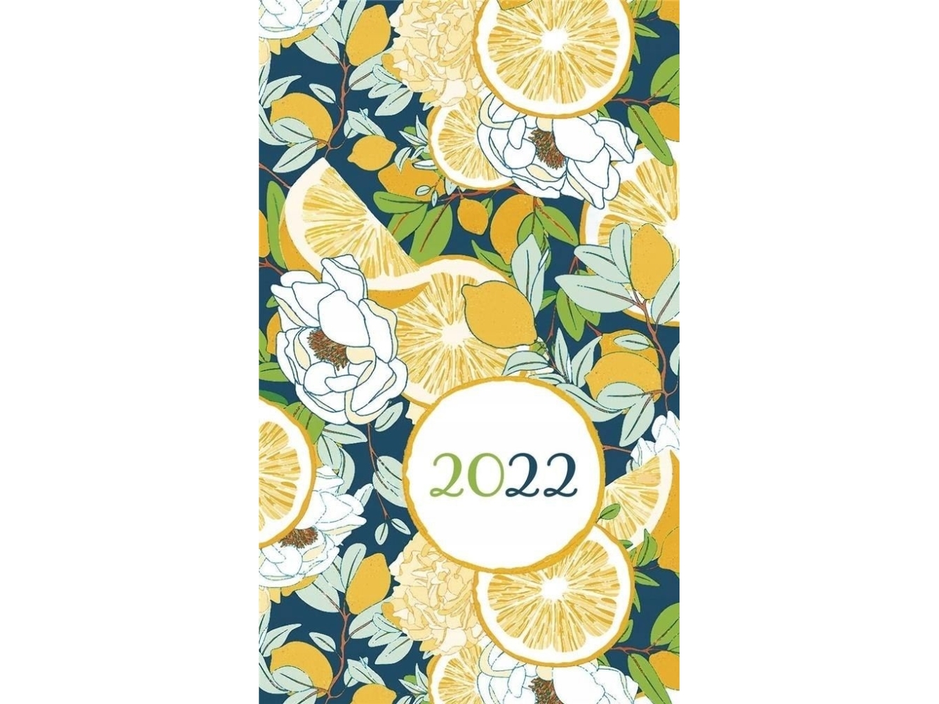 Skema 2022 Mini T-MINI-02