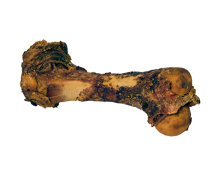 Marrowbone Roasted & Dried Large, 32Cm
