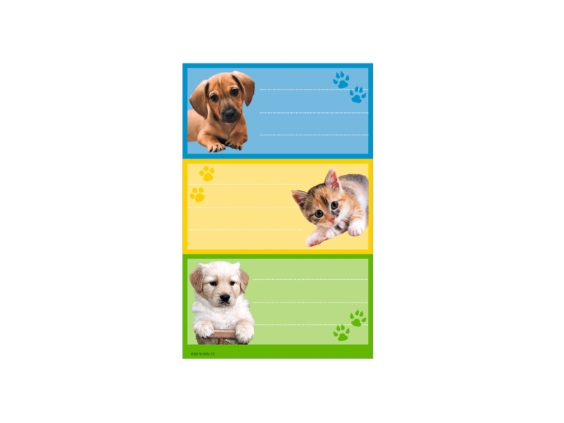 Herlitz 830216, Universal, 3 Stück(E), 3 Blätter, 8 Cm, 12,5 Cm, 80 Mm