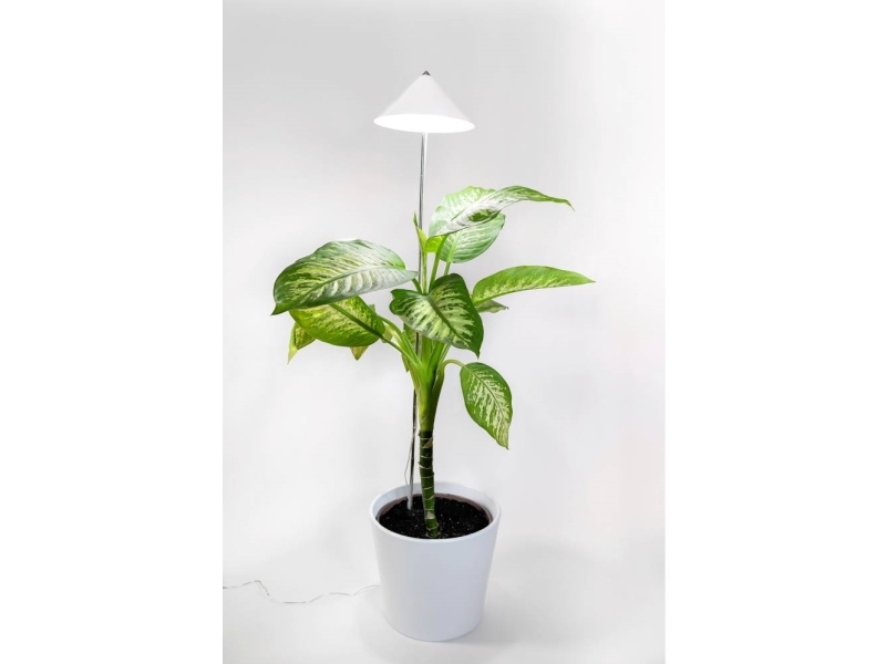 Venso LED-kasvilamppu kasvuun SUNLiTE XL 25 W valkoinen 230 V LED sisäänrakennettu 25 W neutraali valkoinen 1 kpl