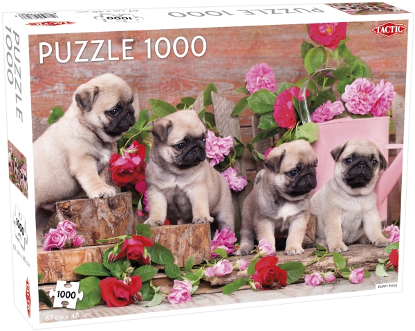 Tactic Puppy Pugs 1000 Pcs, 1000 Stück(E), Tiere, 9 Jahr(E)