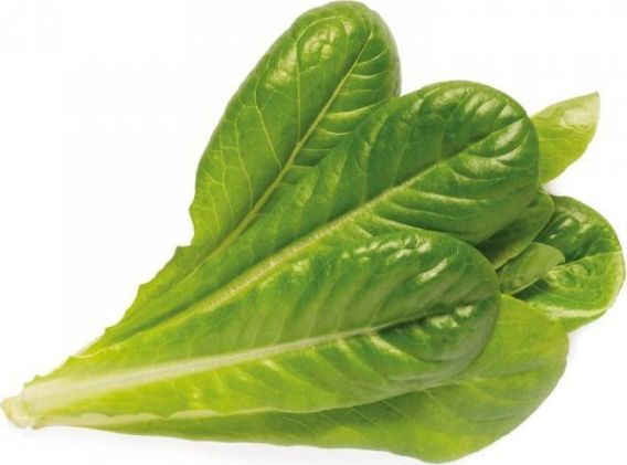 Click & Grow Romaine Salatpflanze Hülsen, Essbare Pflanze, Grüner Salat, Nachfüllen, Schnellwachsend (3-5 Wochen), 2- 14 Tag(E), 18 - 24 Monat( E)