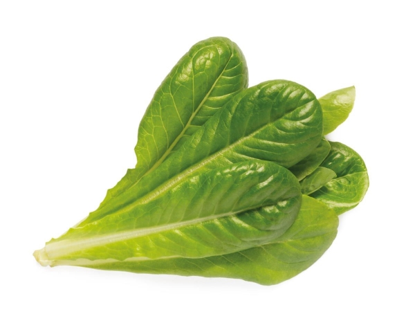 Click & Grow Romaine Salatpflanze Hülsen, Essbare Pflanze, Grüner Salat, Nachfüllen, Schnellwachsend (3-5 Wochen), 2- 14 Tag(E), 18 - 24 Monat( E)