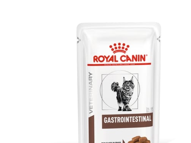 Royal Canin Royal Canin Vhn Cat Gastro Intestinal 12 Pcs X 85G