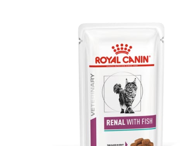 Royal Canin Renal Mit Fisch Katzennassfutter Stückchen In Sauce Huhn, Schwein, Lachs 12X85 G