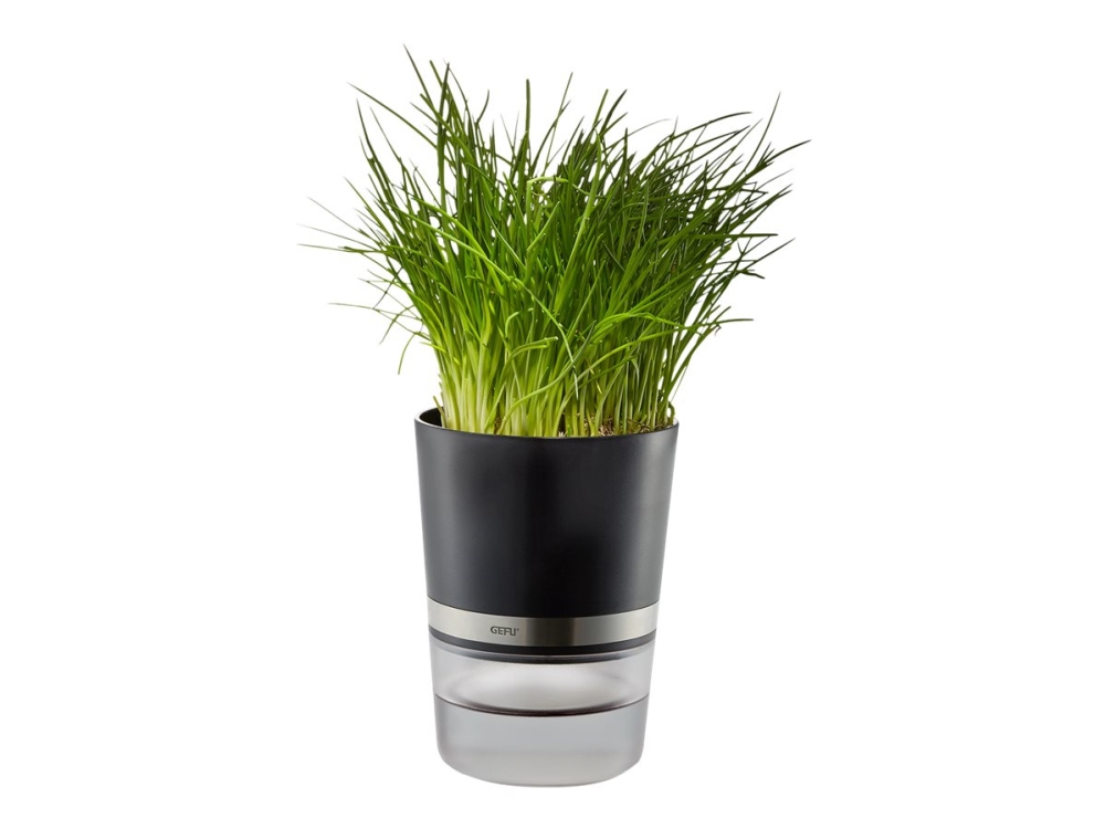 GEFU BOTANICO Smart plantepotte Sort Transparent