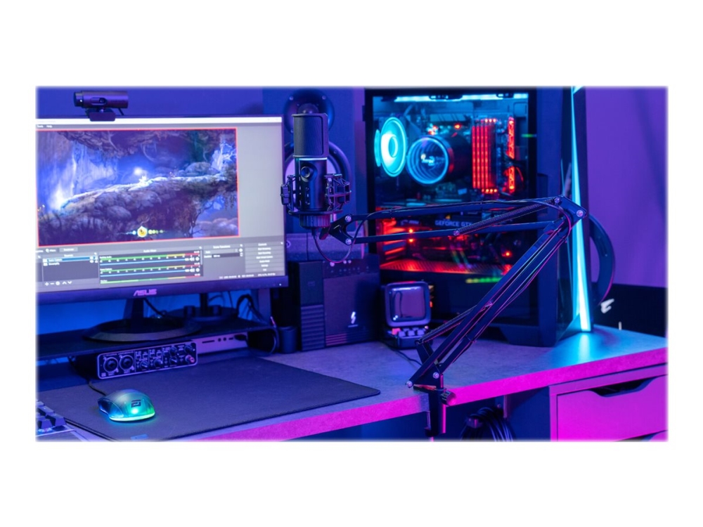 Streamplify Mic Arm, Mikrofon Für Spielkonsole, 85 Db, 100 - 18000 Hz, 0,1%, 680 Ohm, Drehregler