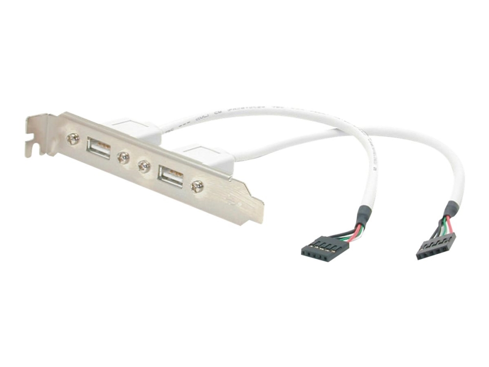 Startech 2 Port Usb A Female Low Profile Slot Plate Adapter - 2 Port Usb Bracket - Usb 2.0 A Female (Usbplatelp) - Usb-Panel - Usb (Hun) Til 5 Pin In