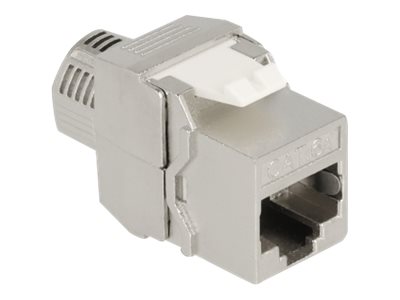 Delock Keystone Modul Rj45 Buchse Zu Lsa Cat.6A Werkzeugfrei Geschirmt, Flach, Edelstahl, Rj-45, Lsa, Buchse, Buchse