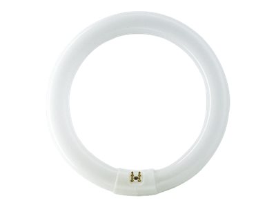 Philips Fluorescerende pære Master TL-E Cirkelformet 40W/830 G10q