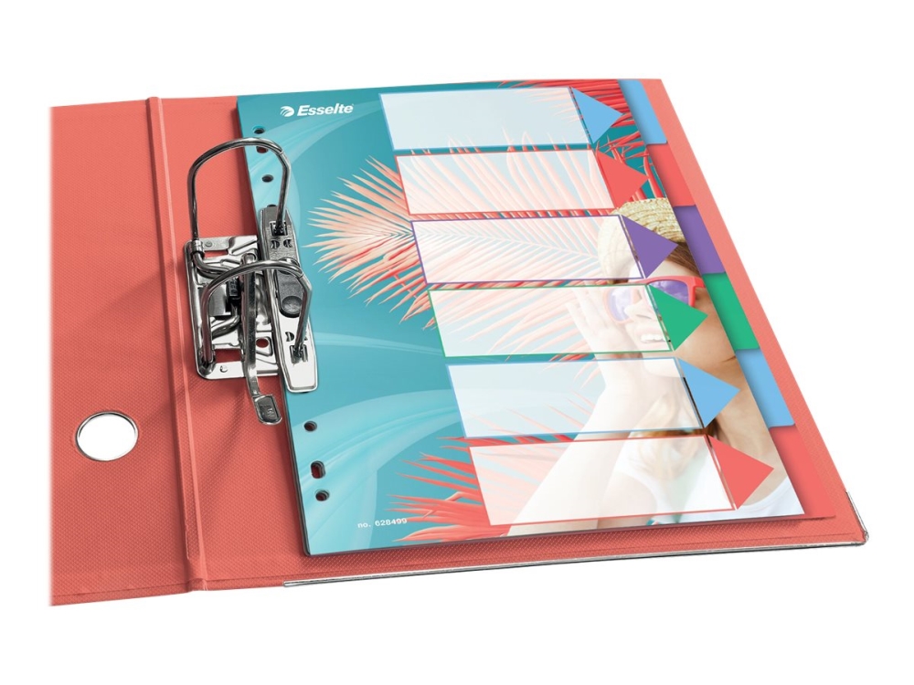 Esselte ColourBreeze - Avdelare - 6 delar - för A4 (210 x 297 mm) - flera färger | Arkivering - Tabblad - PP-Tabblad & Register | GameStuff