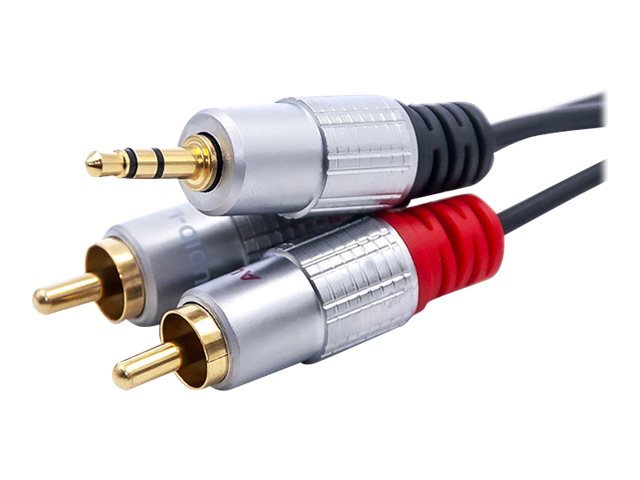 Qoltec 52339, 2 X Rca, Stecker, 3.5Mm, Stecker, 1 M, Schwarz