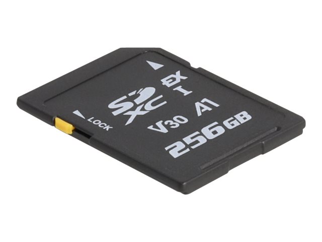 Delock - Flashhukommelseskort - 256 Gb - Video Class V30 / Uhs-I U3 - Sd
