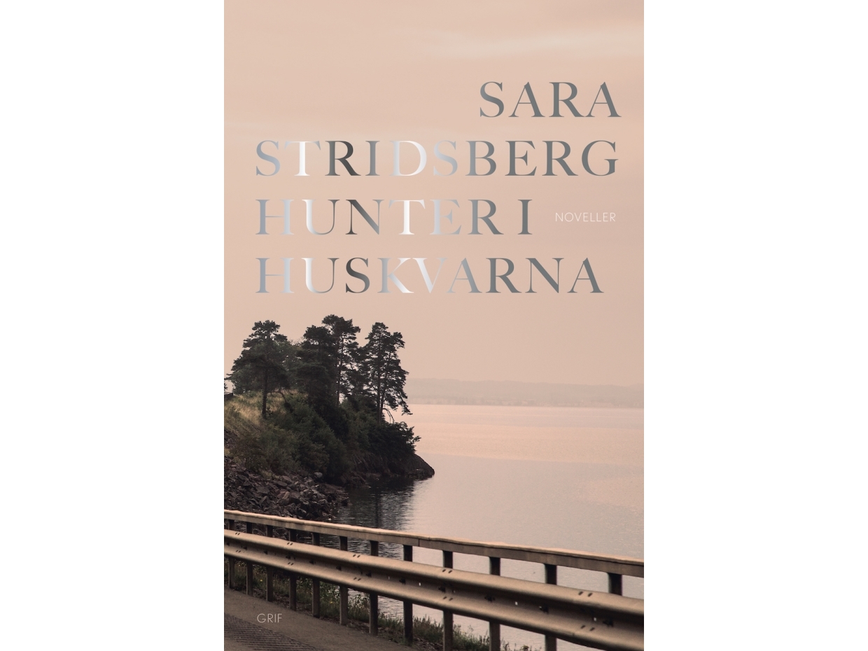 Hunter I Huskvarna | Sara Stridsberg | Språk: Dansk