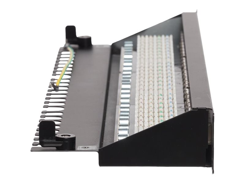 Netrack - Patch-Panel - Stativmonterbar - Cat 6A - Ftp - Rj-45 X 24 - Sortiert - 19"