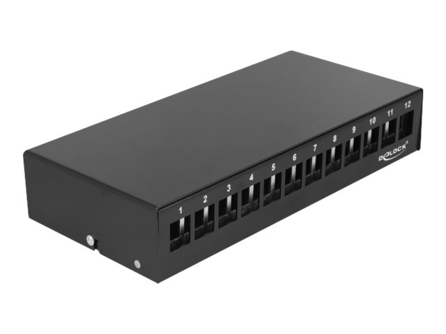 Delock - Sort Slutsten-Patchpanel - Vægmonterbar, Din-Skinnemonterbar - Sort - 12 Porte