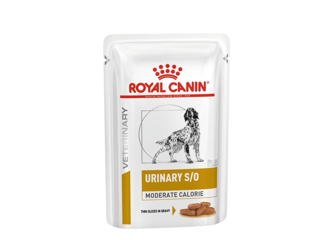 Royal Canin ROYAL CANIN Dog Urinary Moderate Calorie 12x100g - dla psa | Sällskapsdjur - Hund - Hundmat | GameStuff