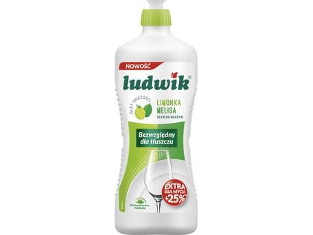 Ludwik Lammon And Meliska Fresh Duet Dishwash 900G